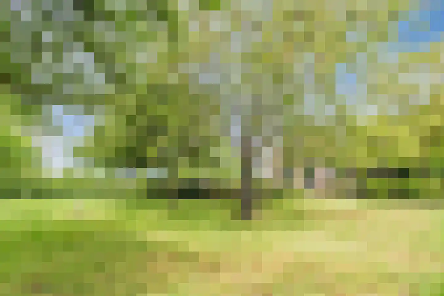Eemster 55 Dwingeloo thumbnail 71