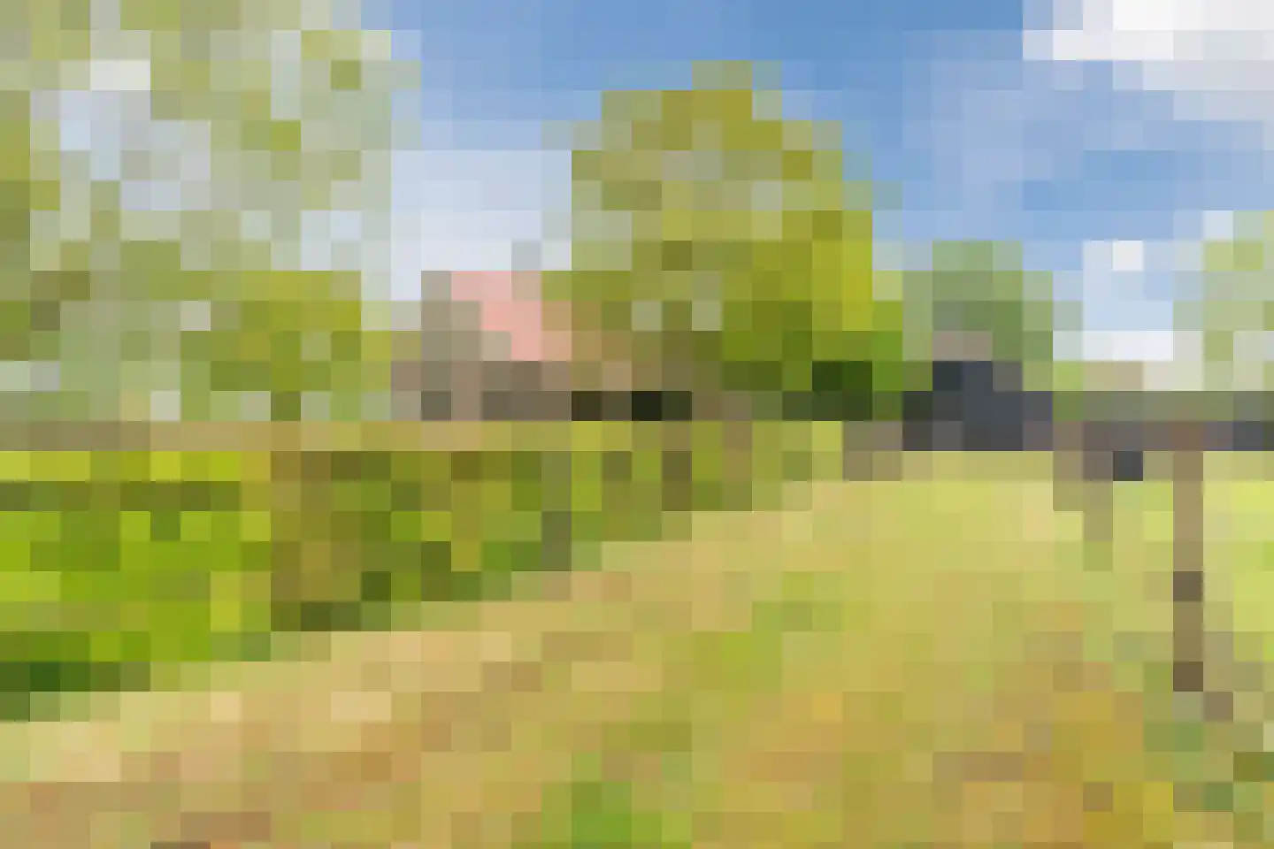 Eemster 55 Dwingeloo thumbnail 72