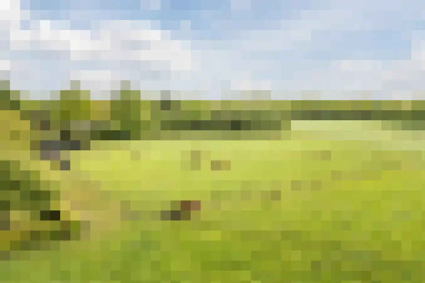 Eemster 55 Dwingeloo thumbnail 74