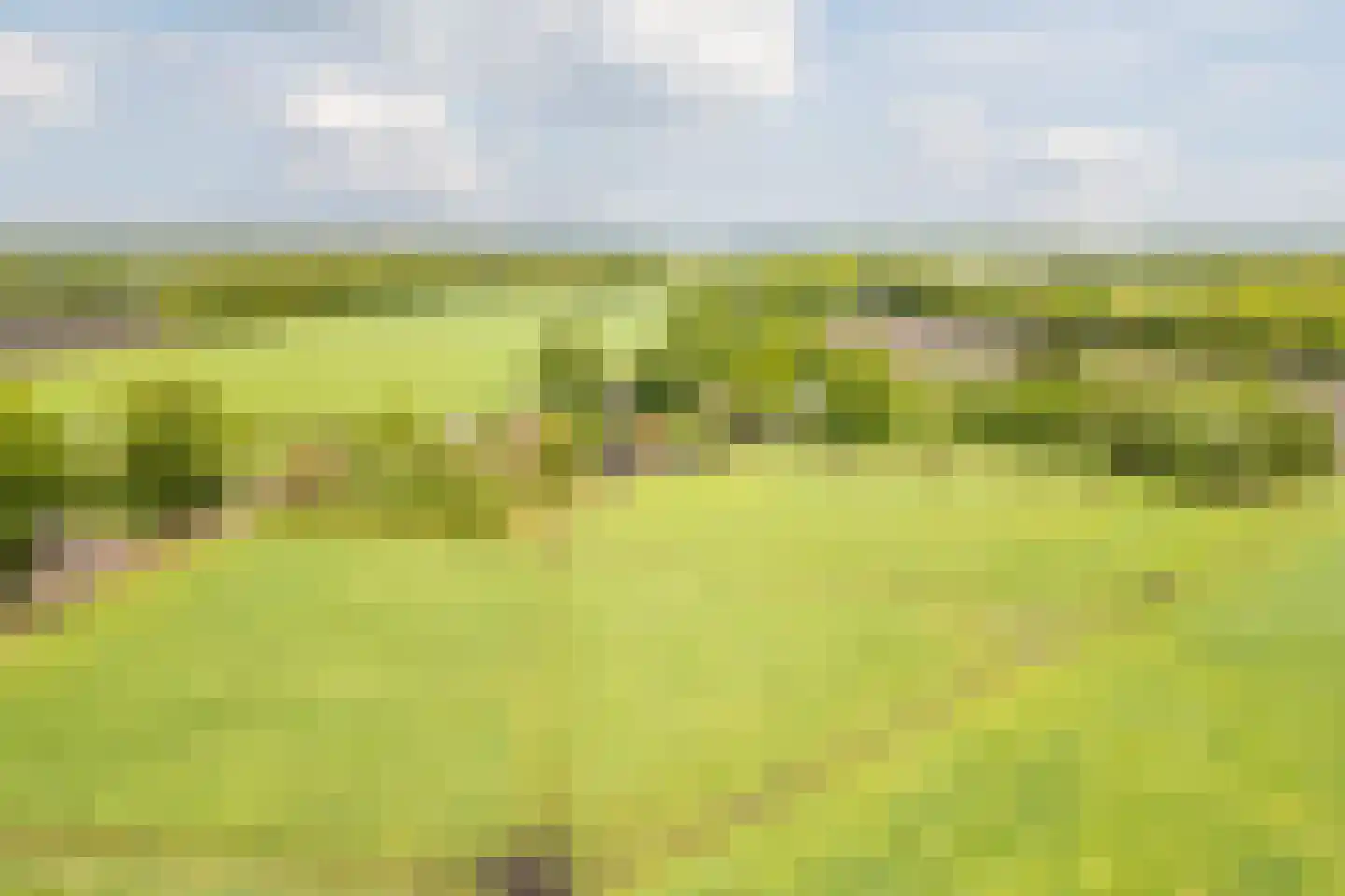 Eemster 55 Dwingeloo thumbnail 76