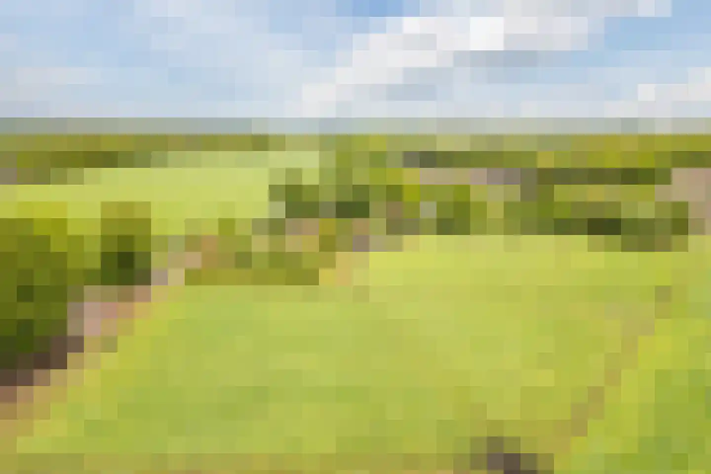 Eemster 55 Dwingeloo thumbnail 77