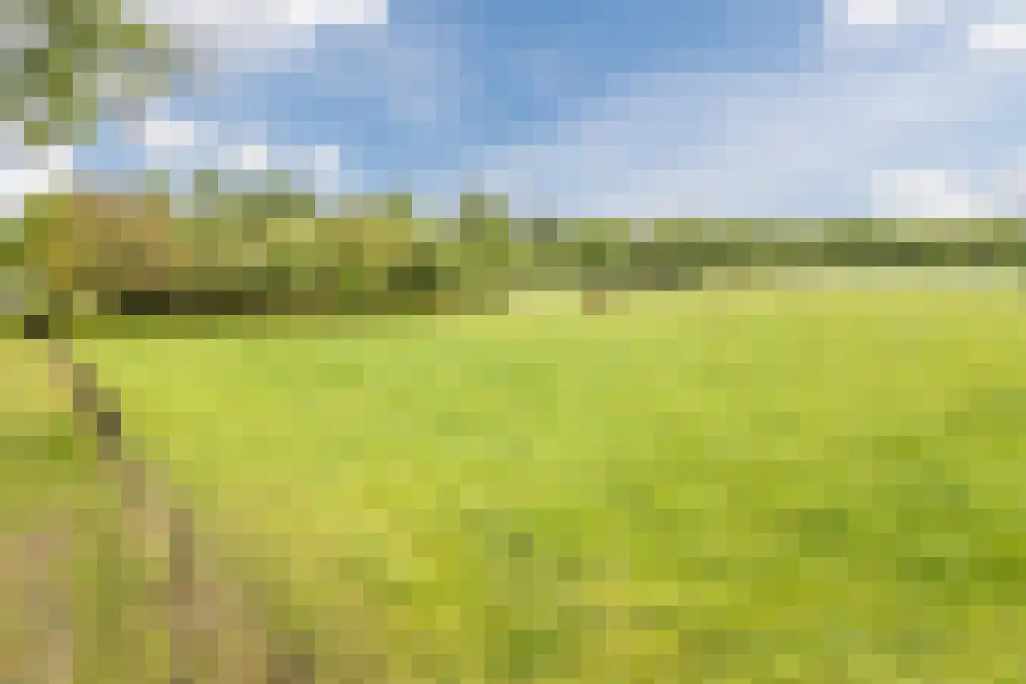 Eemster 55 Dwingeloo thumbnail 78