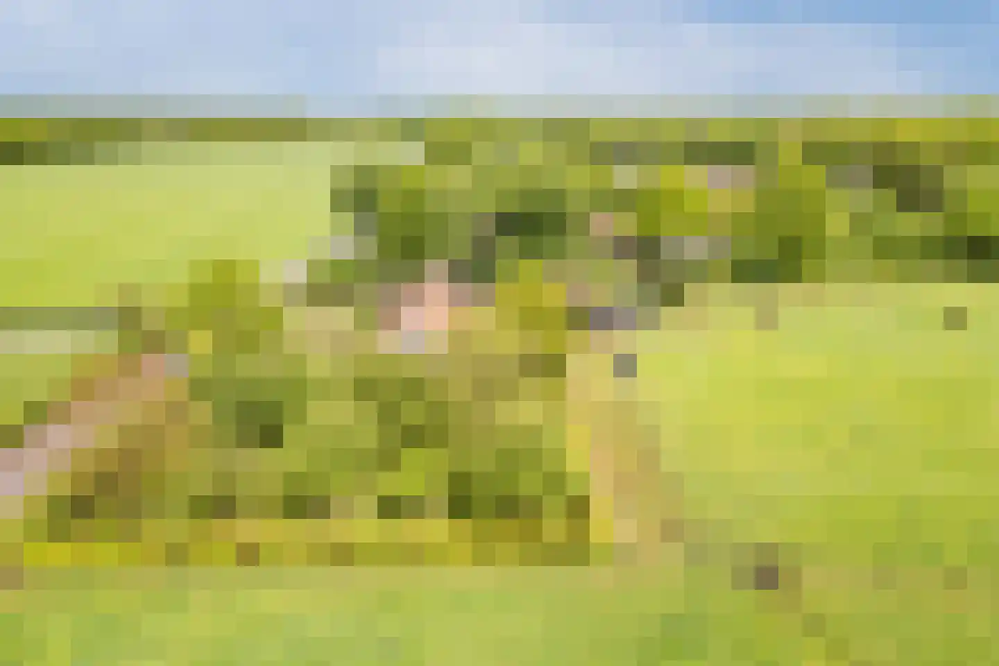 Eemster 55 Dwingeloo thumbnail 79