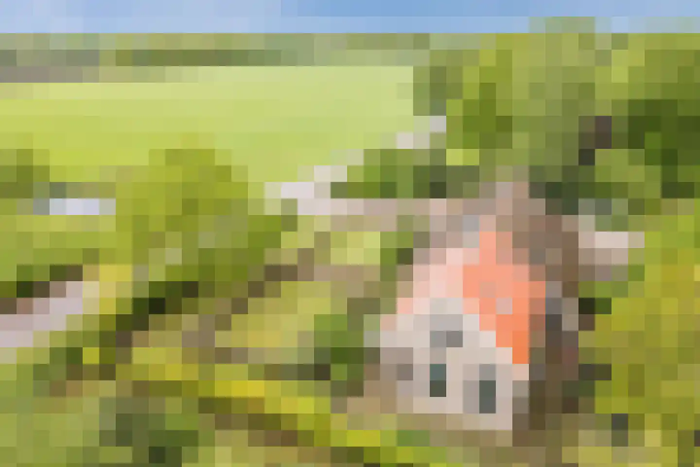 Eemster 55 Dwingeloo thumbnail 81