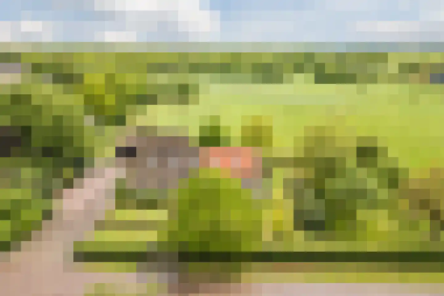 Eemster 55 Dwingeloo thumbnail 82