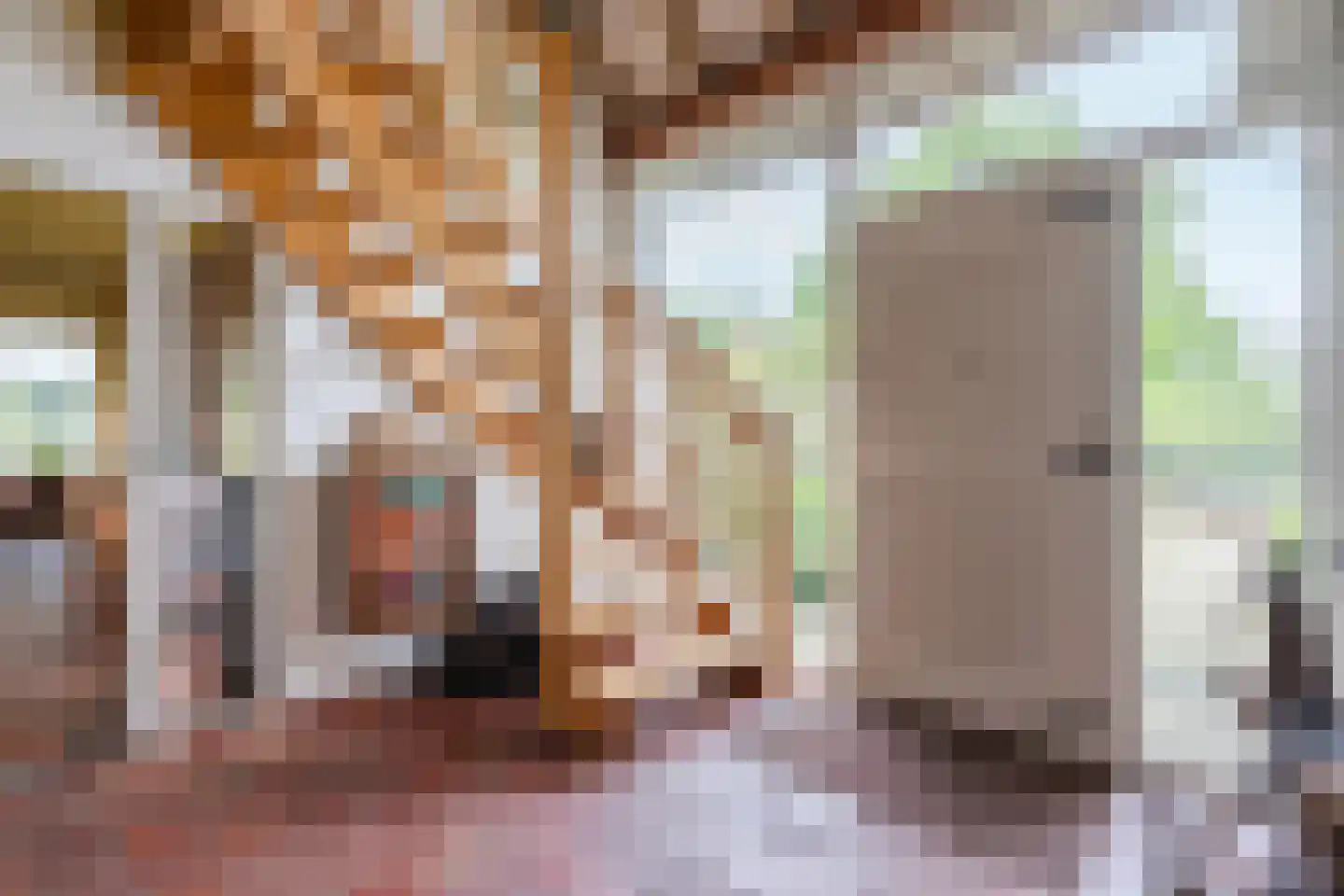 Eemster 55 Dwingeloo thumbnail 9