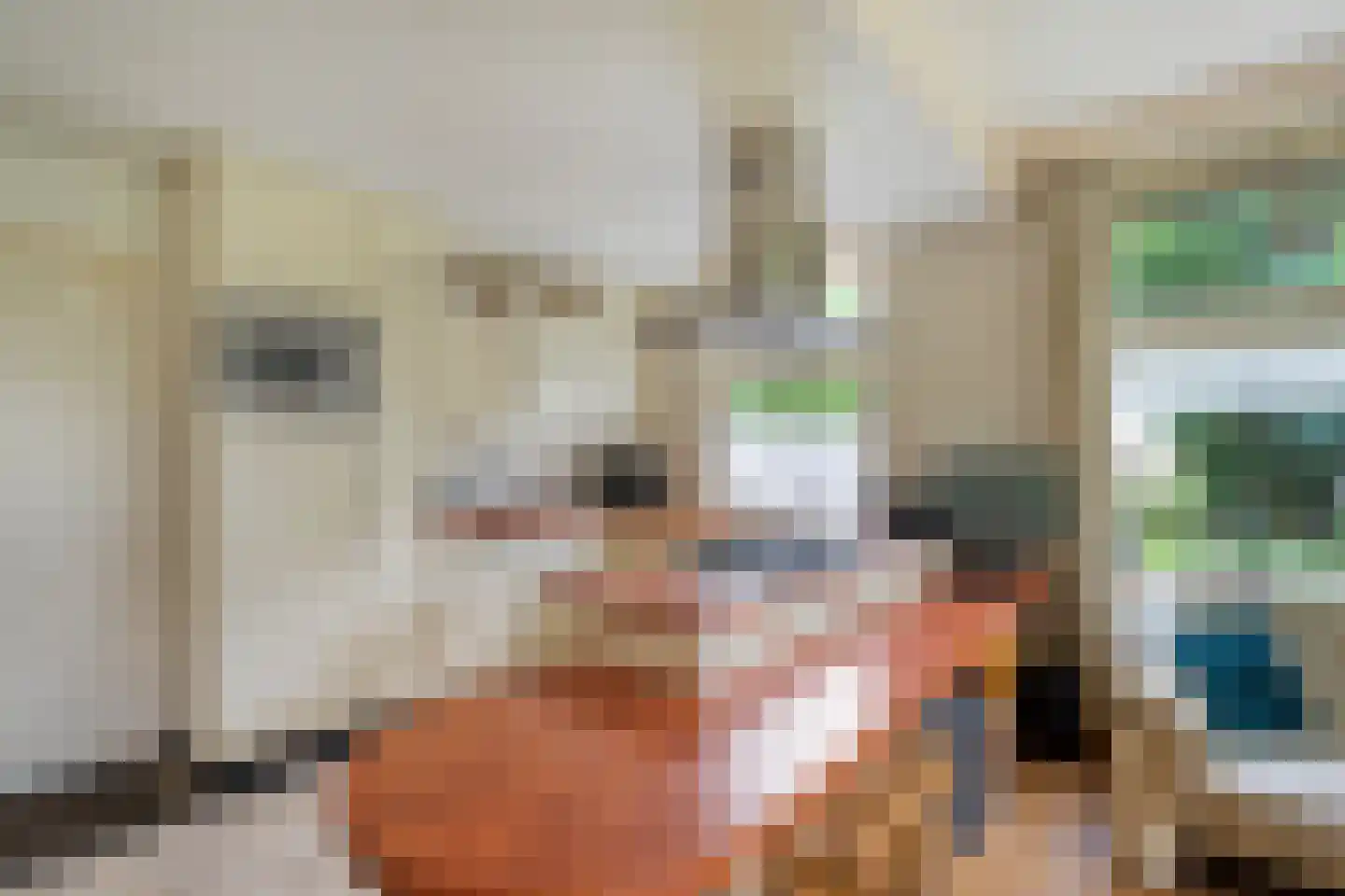 Eemster 57 Dwingeloo thumbnail 10