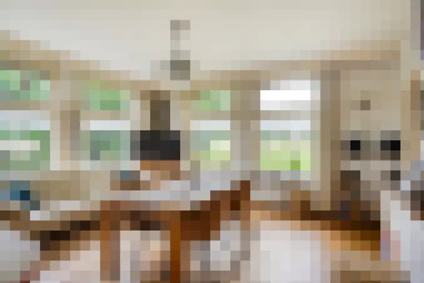 Eemster 57 Dwingeloo thumbnail 11