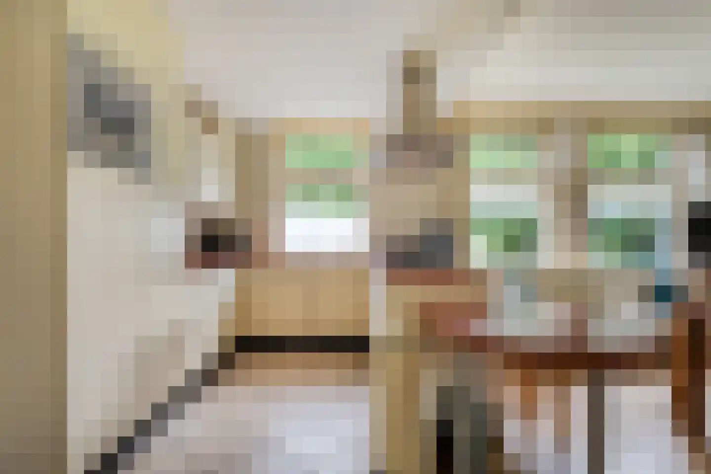 Eemster 57 Dwingeloo thumbnail 15