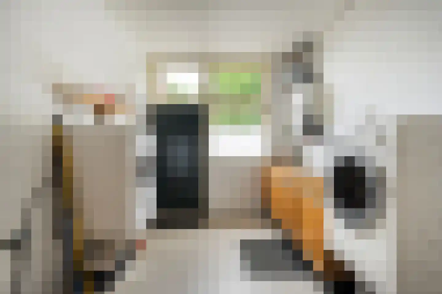 Eemster 57 Dwingeloo thumbnail 16