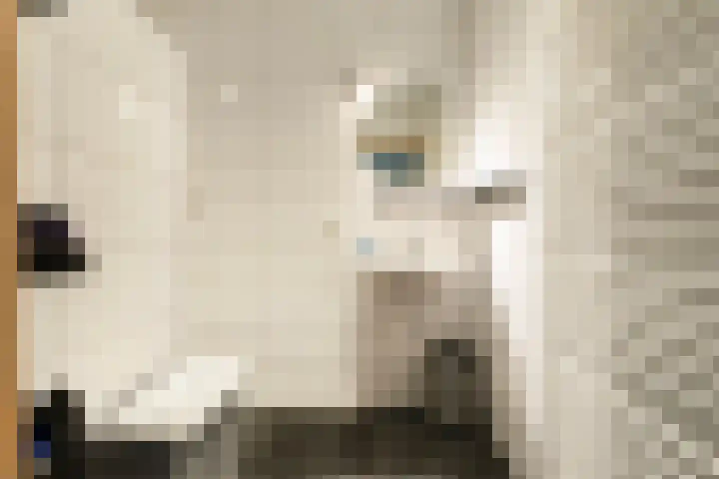 Eemster 57 Dwingeloo thumbnail 18