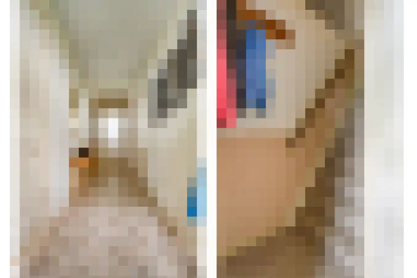 Eemster 57 Dwingeloo thumbnail 20
