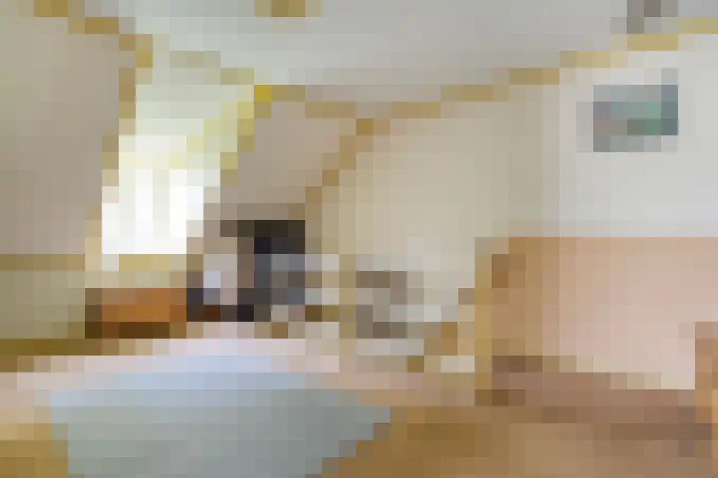 Eemster 57 Dwingeloo thumbnail 22