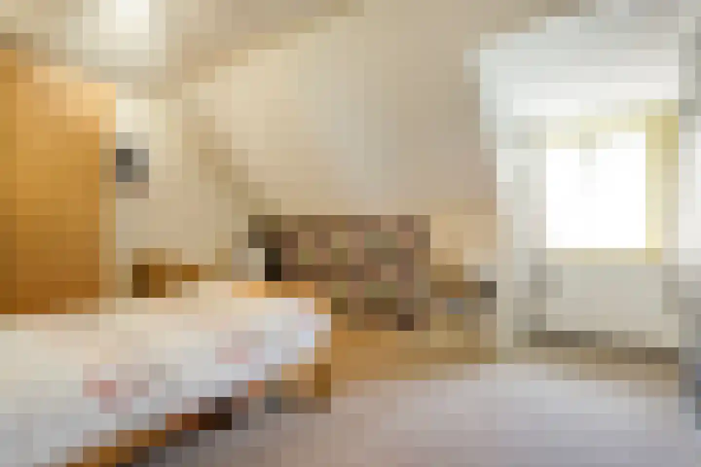 Eemster 57 Dwingeloo thumbnail 23