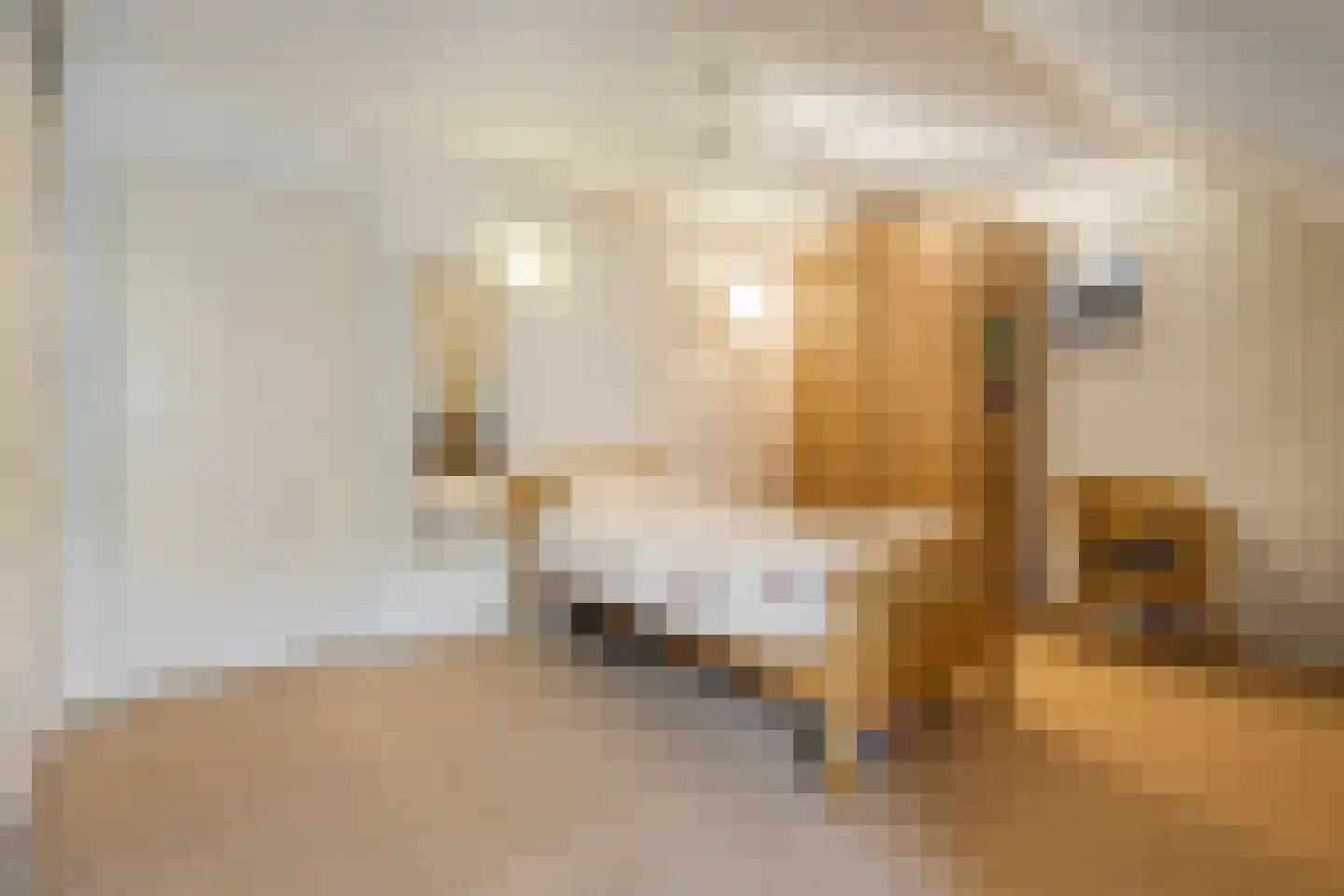 Eemster 57 Dwingeloo thumbnail 24