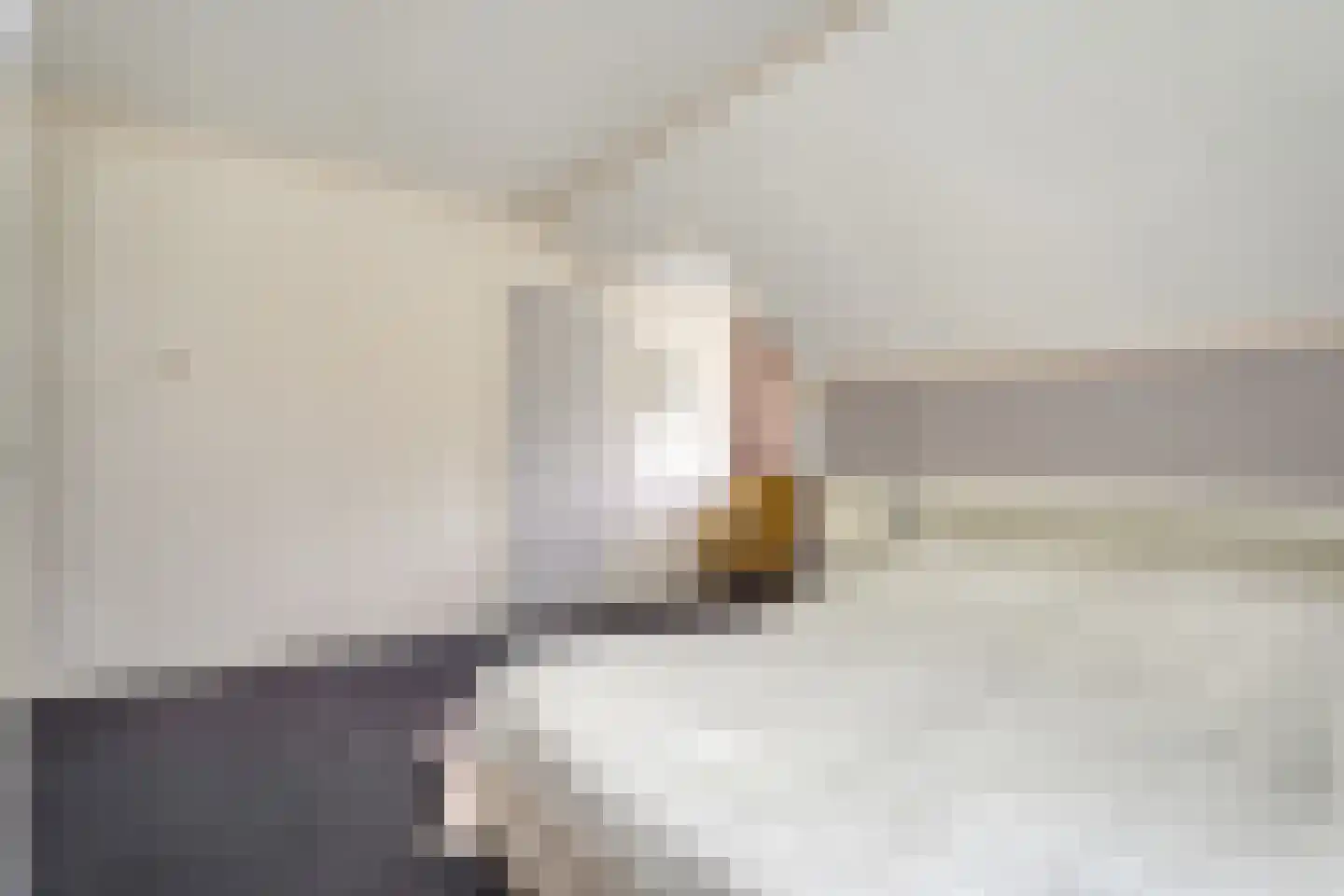 Eemster 57 Dwingeloo thumbnail 26