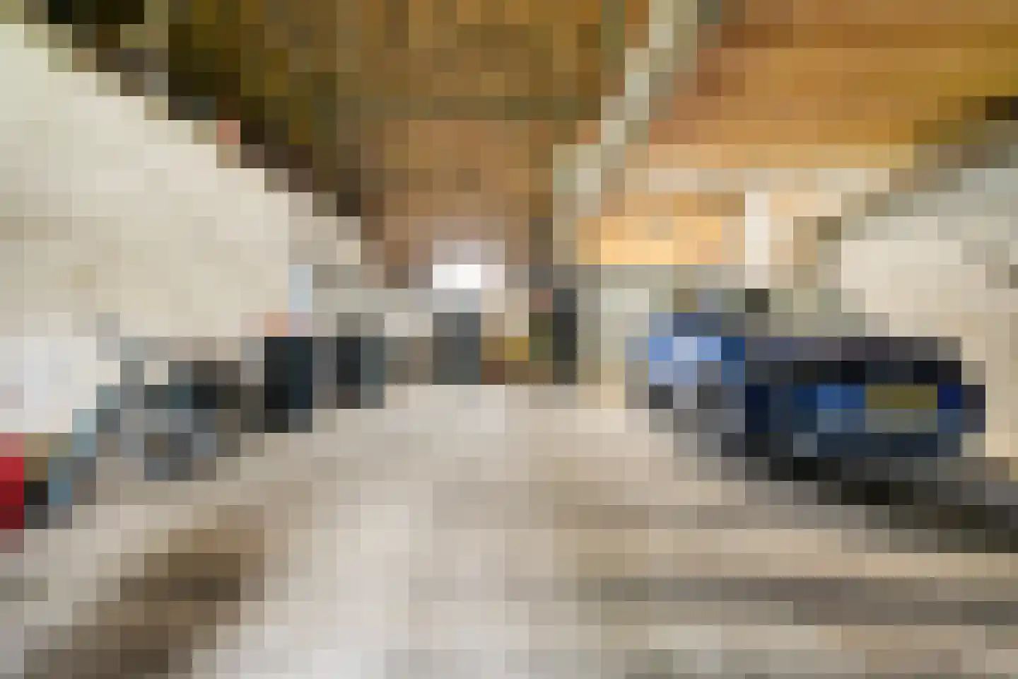 Eemster 57 Dwingeloo thumbnail 32