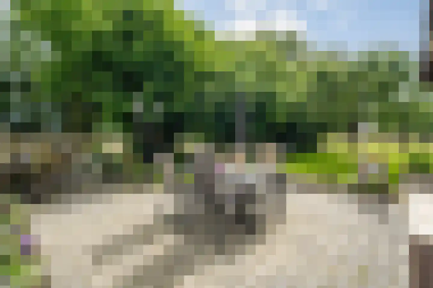 Eemster 57 Dwingeloo thumbnail 34