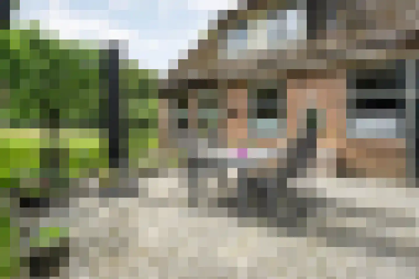 Eemster 57 Dwingeloo thumbnail 35
