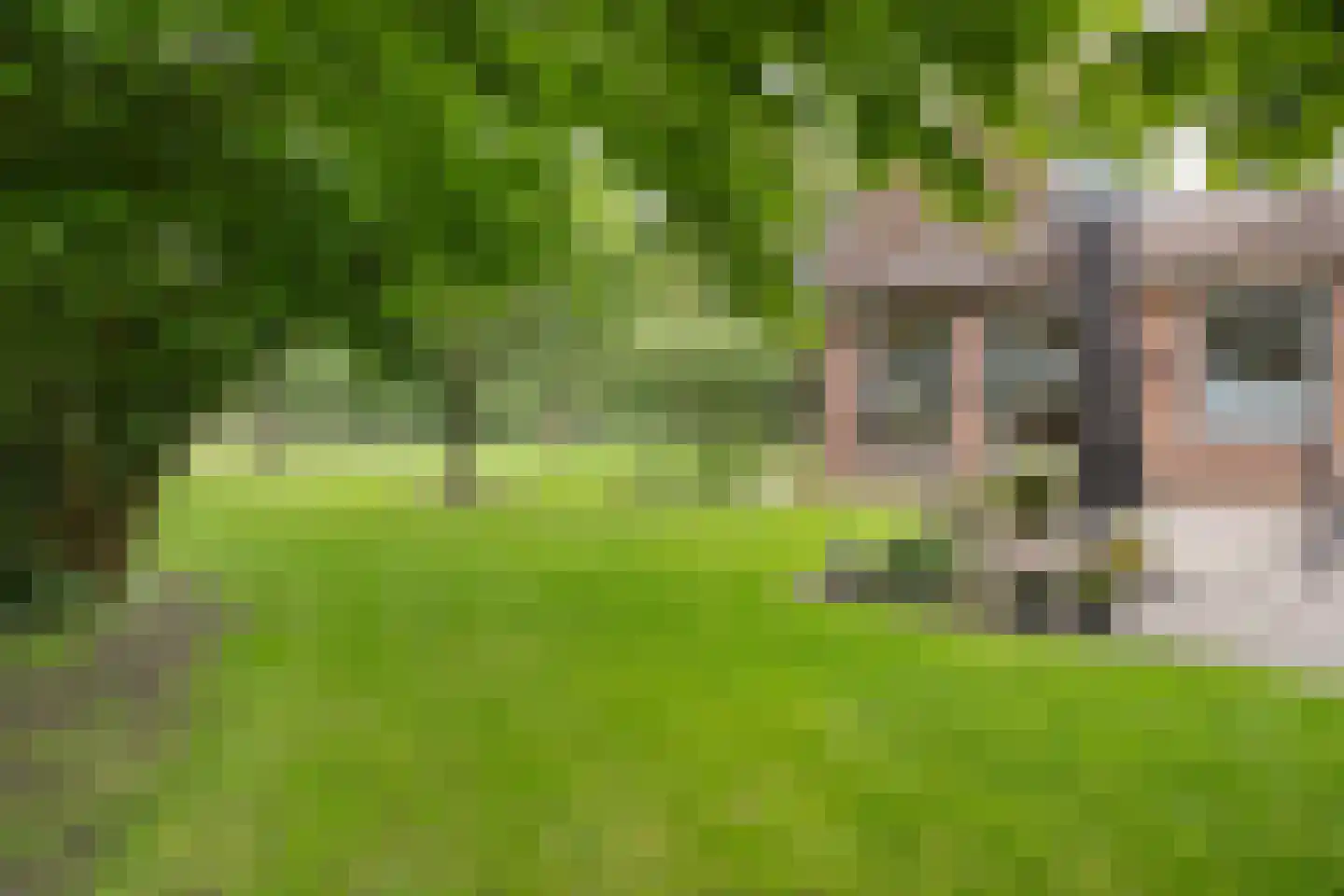 Eemster 57 Dwingeloo thumbnail 36