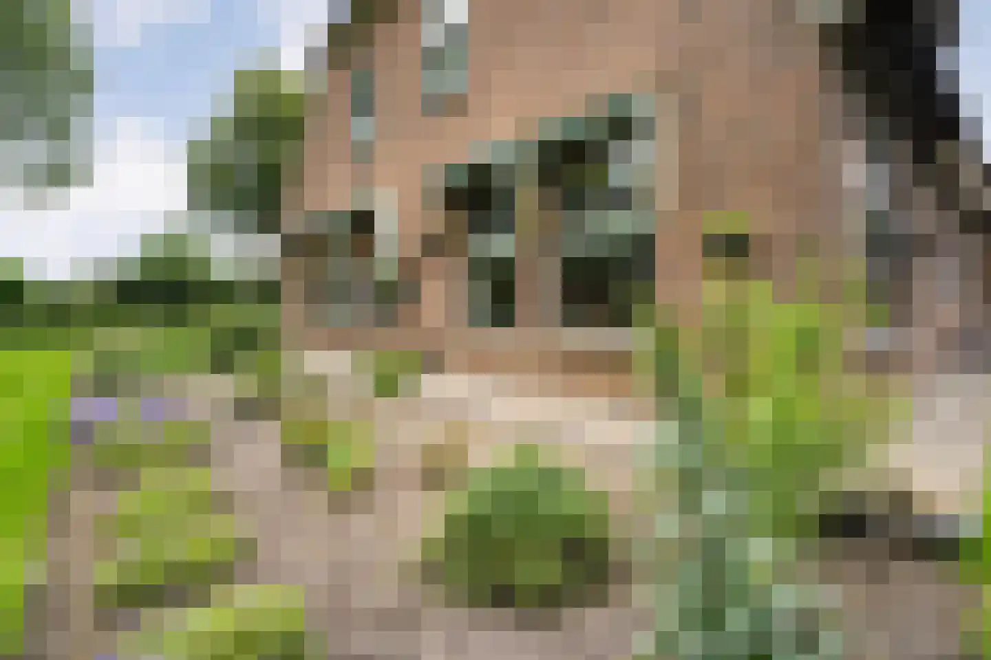 Eemster 57 Dwingeloo thumbnail 39