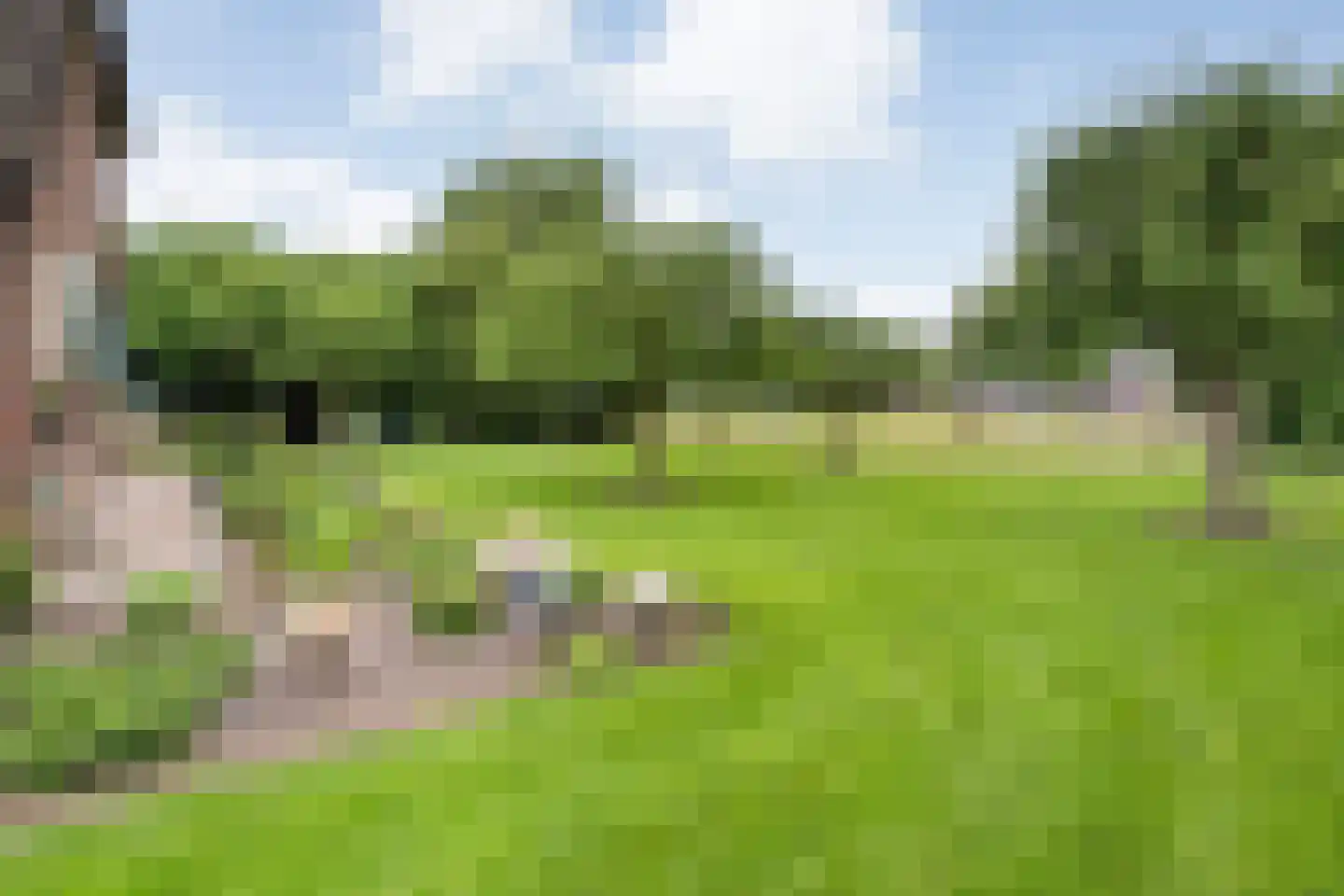 Eemster 57 Dwingeloo thumbnail 45