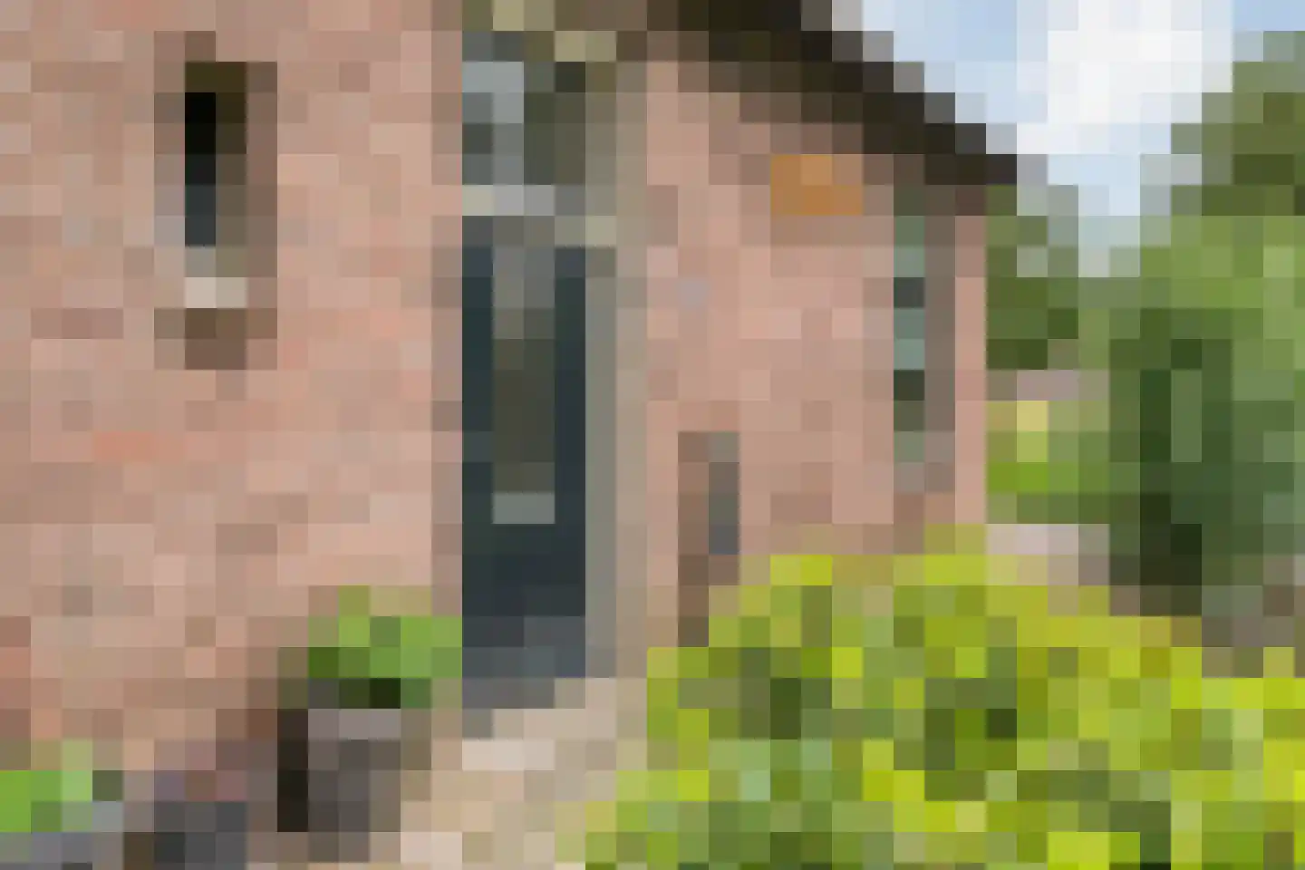 Eemster 57 Dwingeloo thumbnail 47