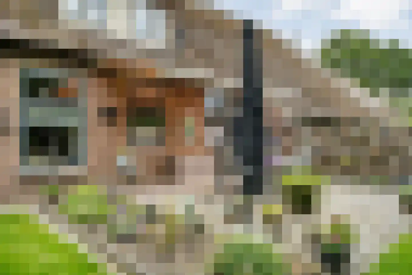 Eemster 57 Dwingeloo thumbnail 49