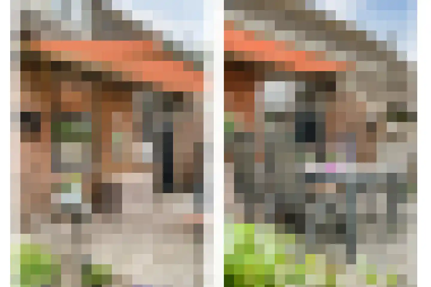 Eemster 57 Dwingeloo thumbnail 50