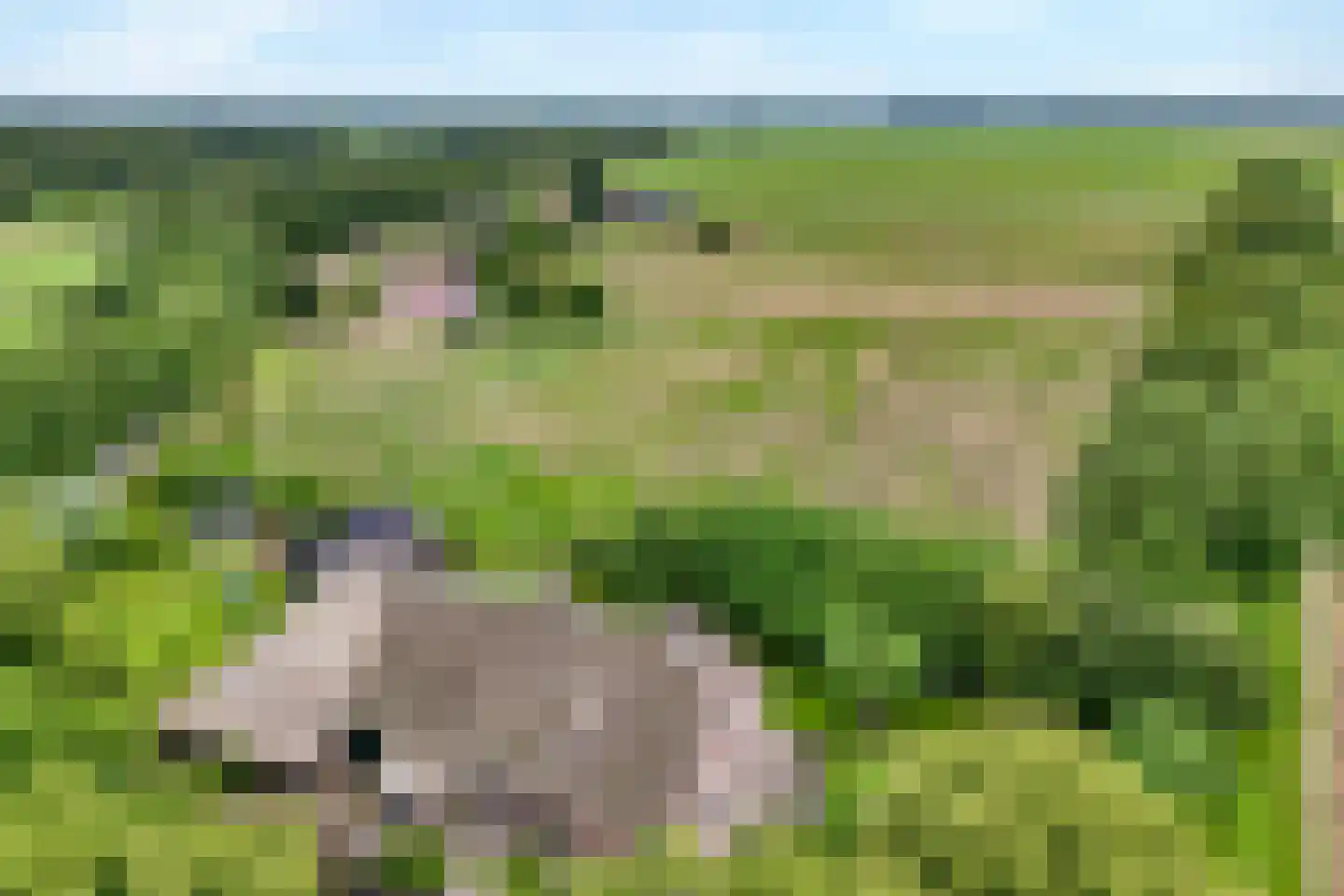 Eemster 57 Dwingeloo thumbnail 53