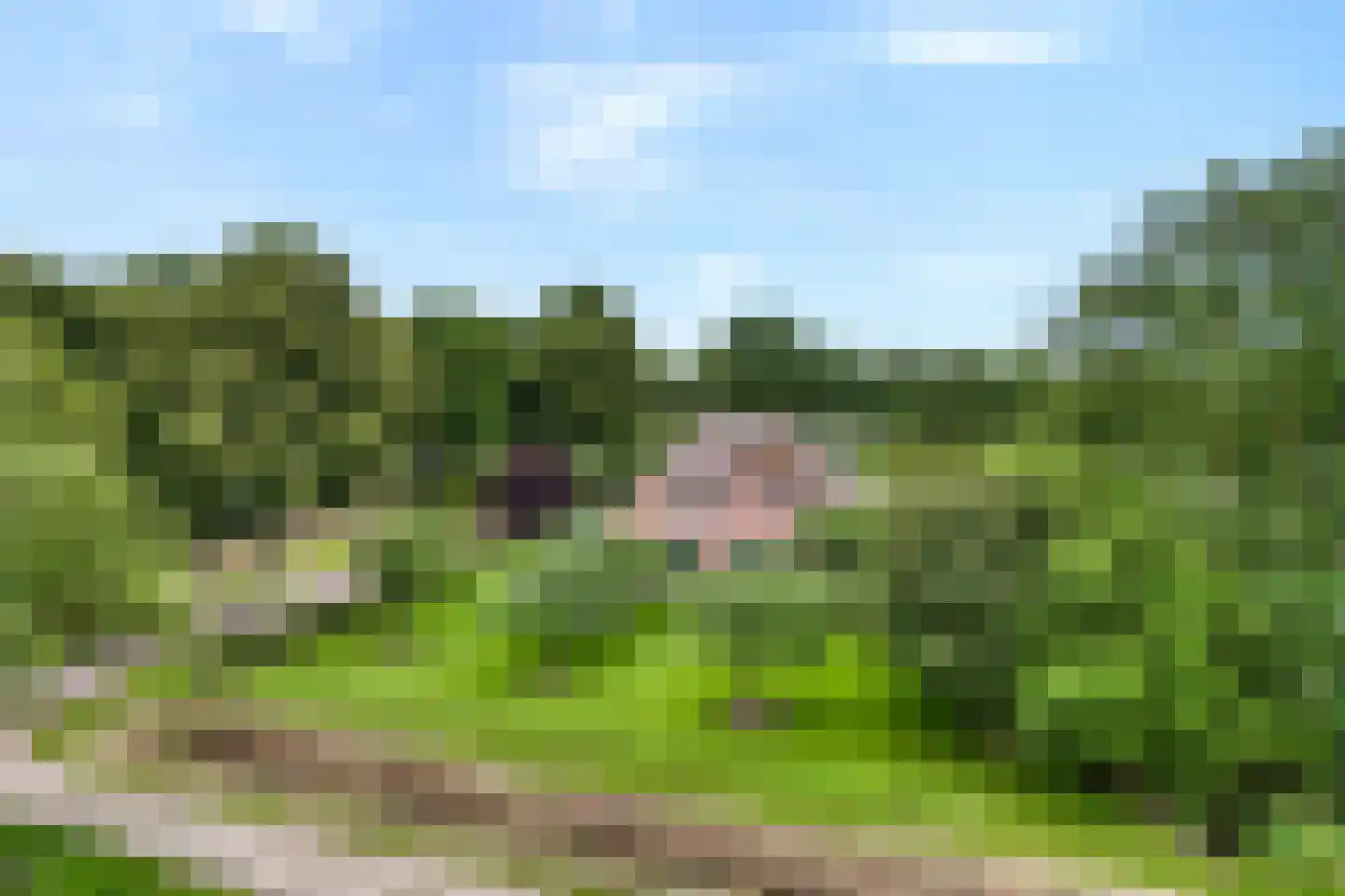 Eemster 57 Dwingeloo thumbnail 54