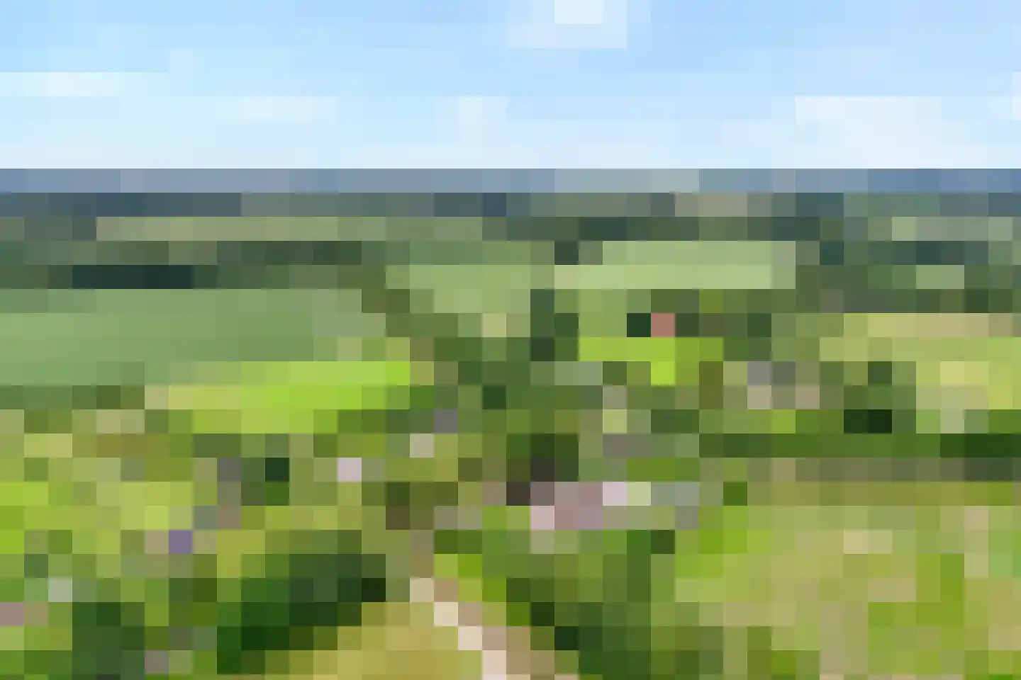 Eemster 57 Dwingeloo thumbnail 55