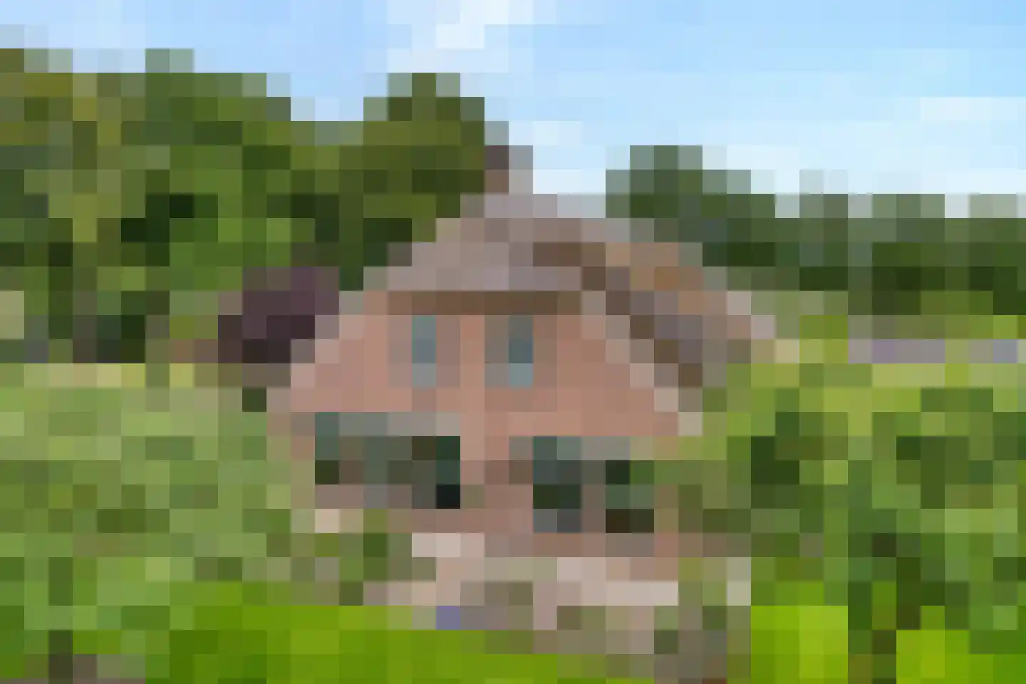 Eemster 57 Dwingeloo thumbnail 56