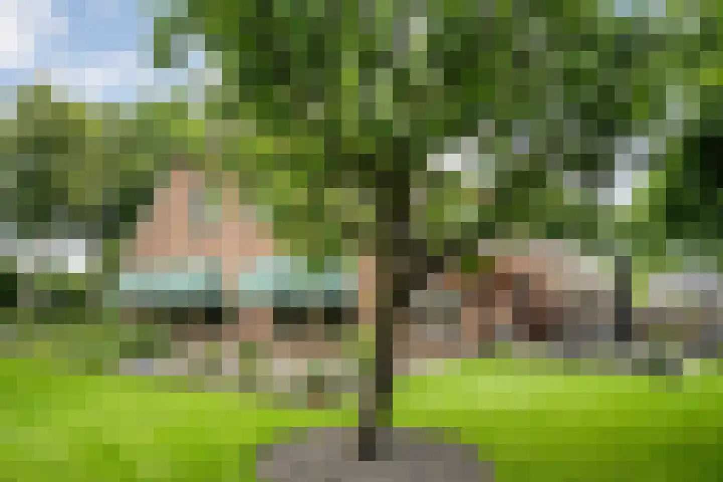 Eemster 57 Dwingeloo thumbnail 61