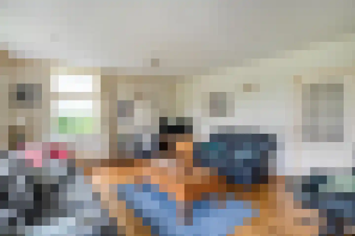Eemster 57 Dwingeloo thumbnail 7
