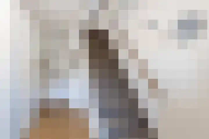 Eemsteyn 6 Werkendam thumbnail 10
