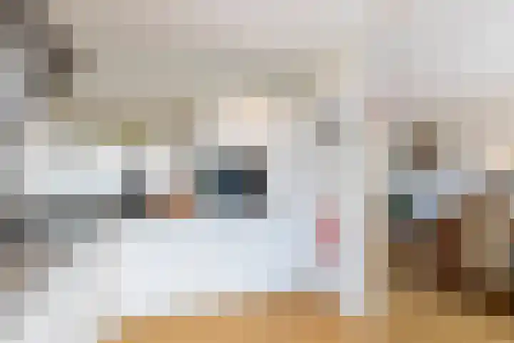 Eemsteyn 6 Werkendam thumbnail 17
