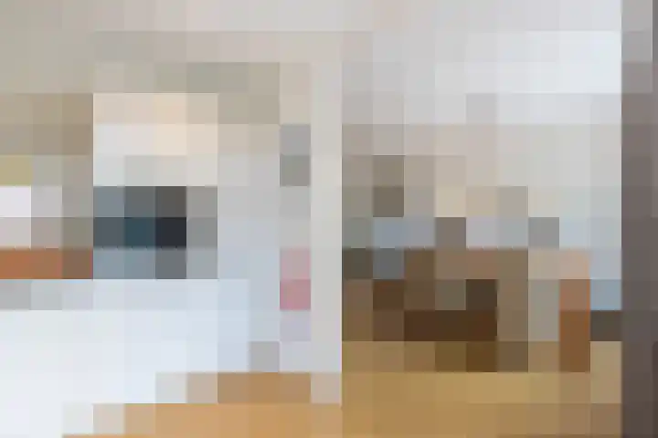 Eemsteyn 6 Werkendam thumbnail 18