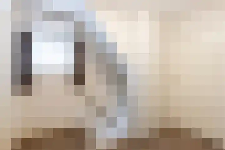 Eemsteyn 6 Werkendam thumbnail 19