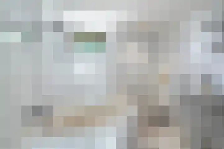Eemsteyn 9 Hendrik-Ido-Ambacht thumbnail 21