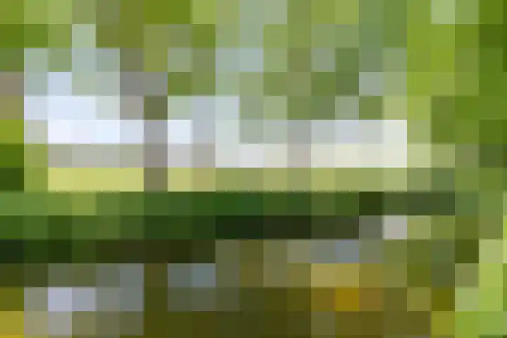 Eemsteyn 9 Hendrik-Ido-Ambacht thumbnail 31