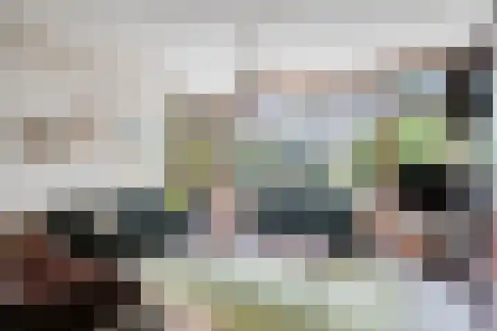 Eemsteyn 9 Hendrik-Ido-Ambacht thumbnail 7
