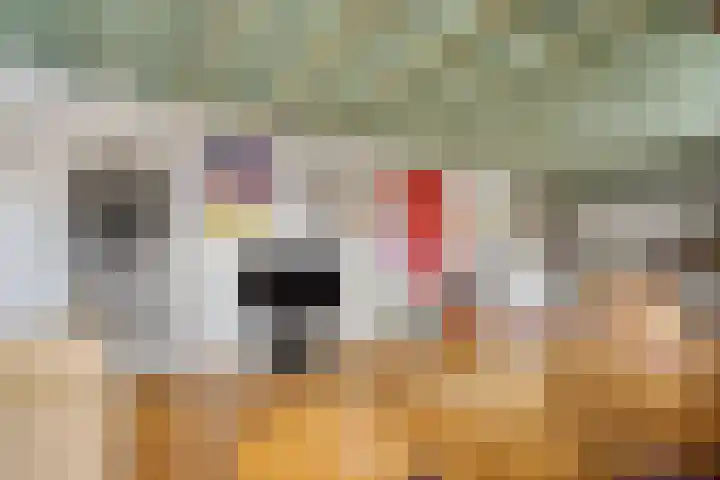 Eemstraat 12 A Baarn thumbnail 29