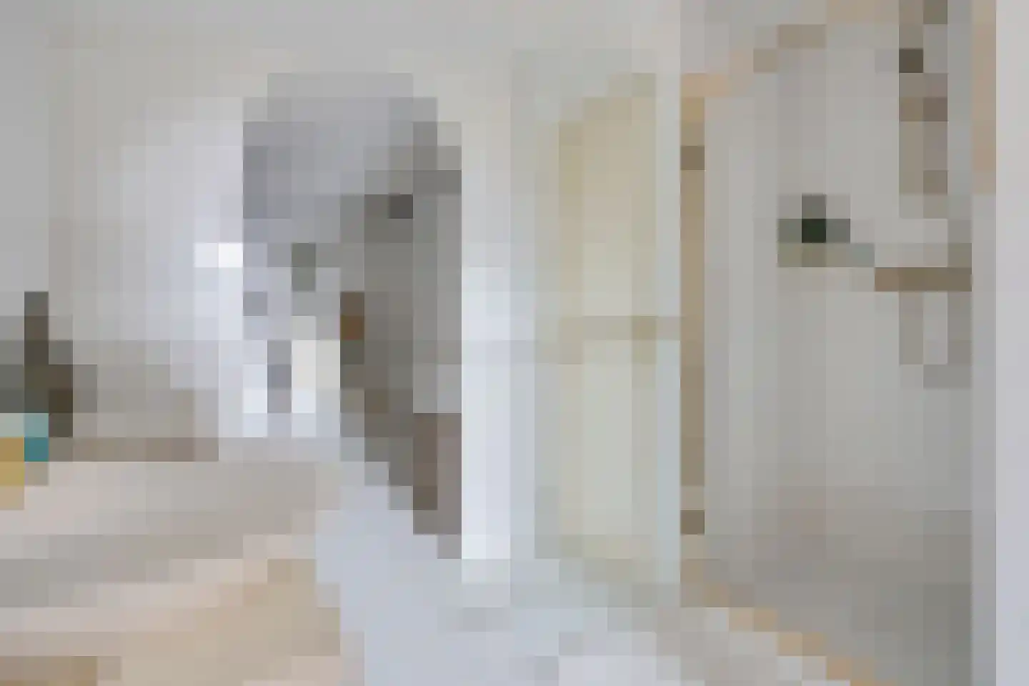 Eemstraat 12 A Baarn thumbnail 35