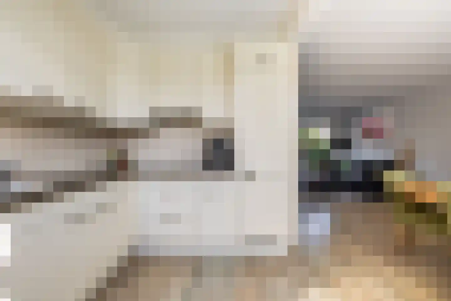 Eemstraat 12 Purmerend thumbnail 14