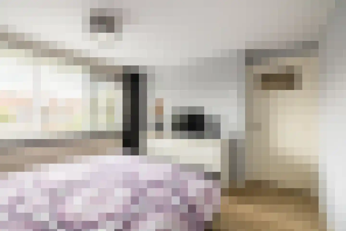 Eemstraat 12 Purmerend thumbnail 18