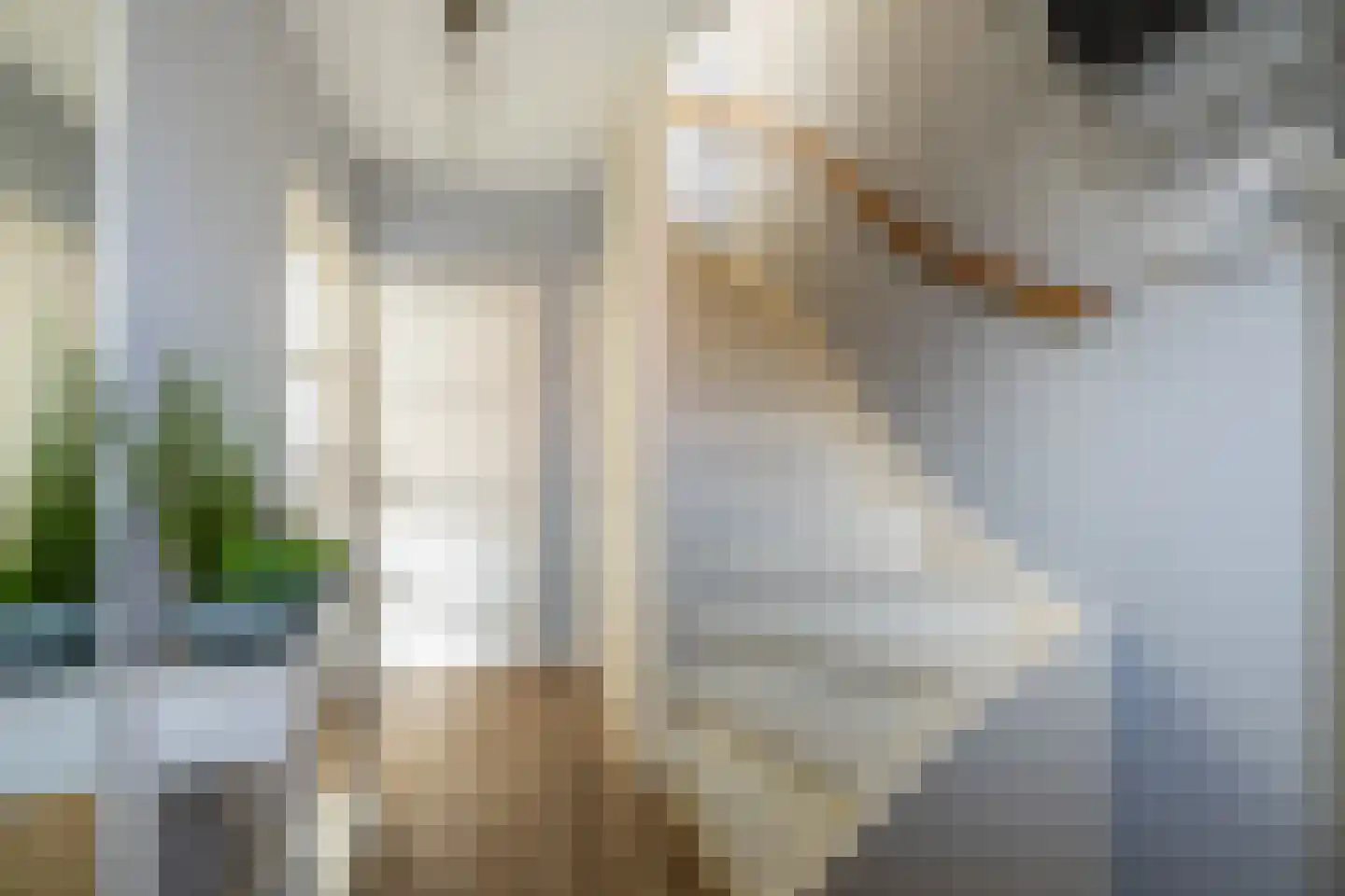 Eemstraat 12 Purmerend thumbnail 6