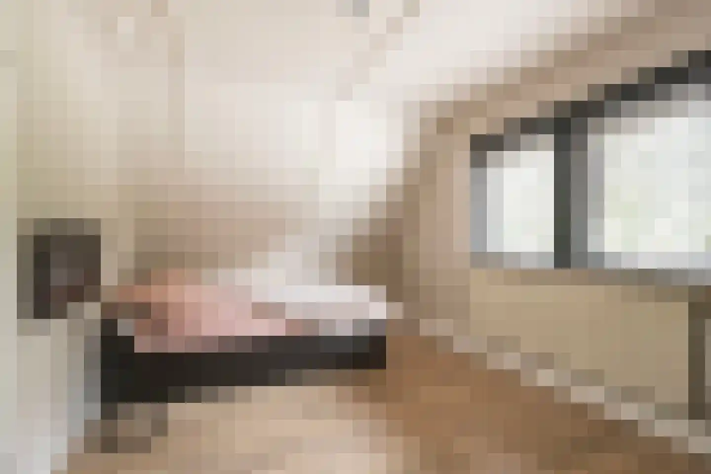 Eemstraat 17 Hengelo thumbnail 31