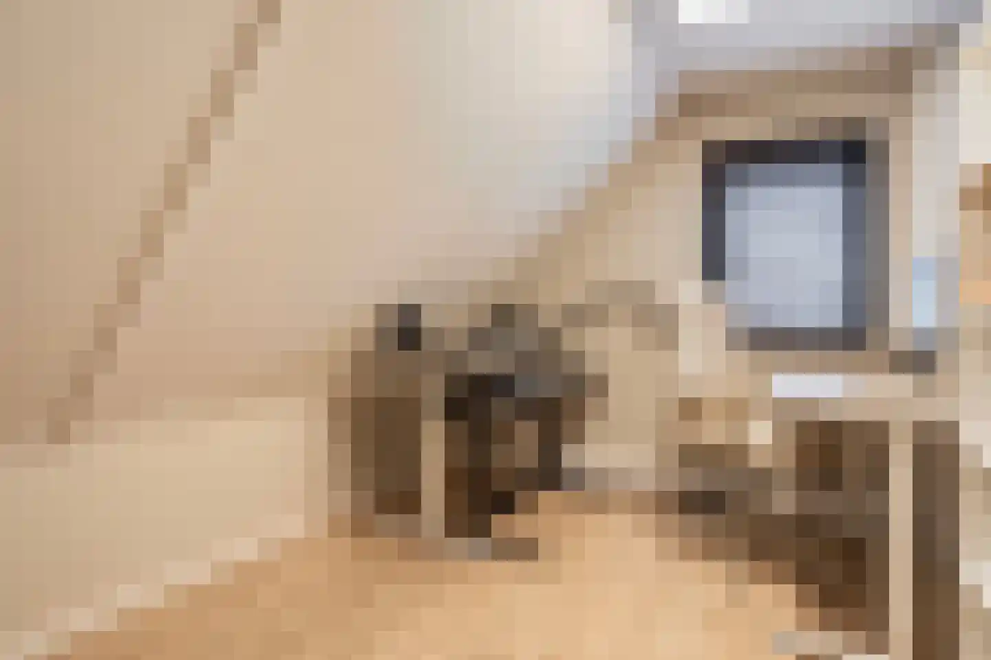 Eemstraat 17 Hengelo thumbnail 32