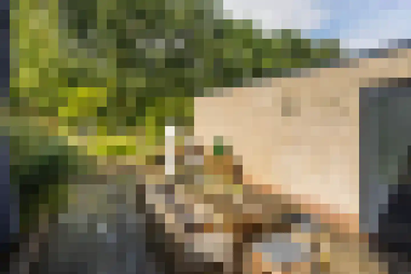 Eemstraat 17 Hengelo thumbnail 36